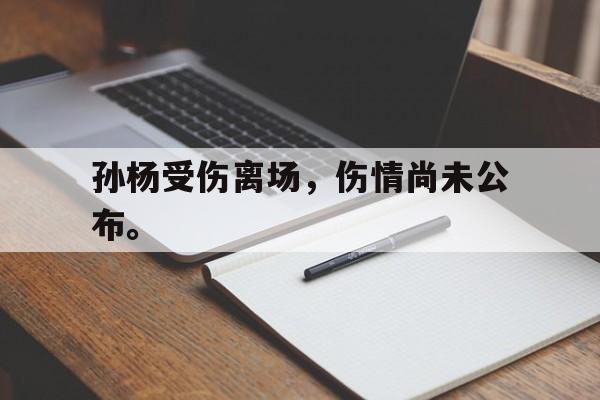 开元体育官网-孙杨受伤离场，伤情尚未公布。