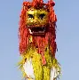 开元体育平台-中国女排对阵塔图姆展开拉锯大战，最终险胜对手